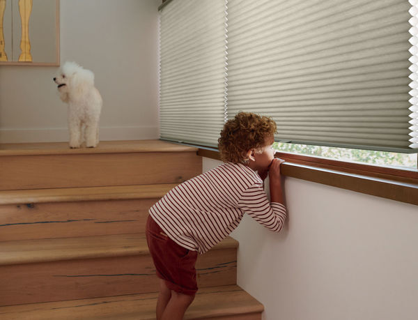 What You Need to Know About Window Treatments and Child Safety